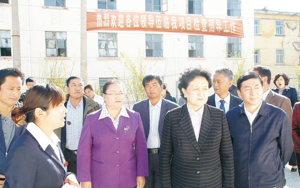 时任中央政治局委员，国务院副总理、、、党组成员刘延东视察湖北bbin宝盈集团青海项目部