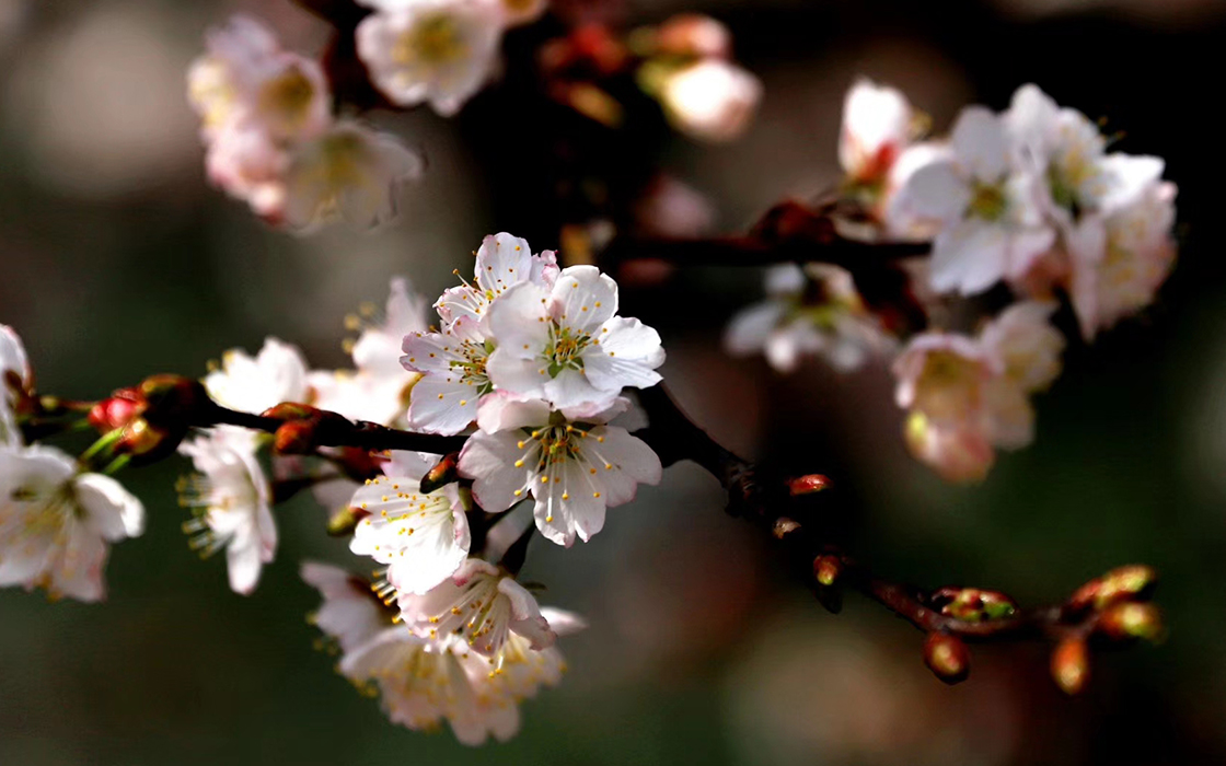 bbin·宝盈游戏(中国集团)官方网站首页