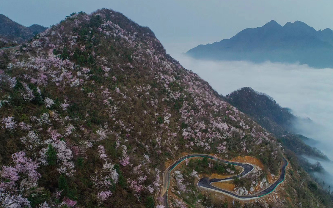 bbin·宝盈游戏(中国集团)官方网站首页