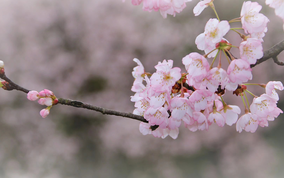 bbin·宝盈游戏(中国集团)官方网站首页