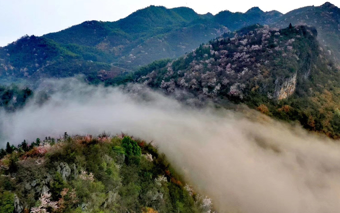 bbin·宝盈游戏(中国集团)官方网站首页