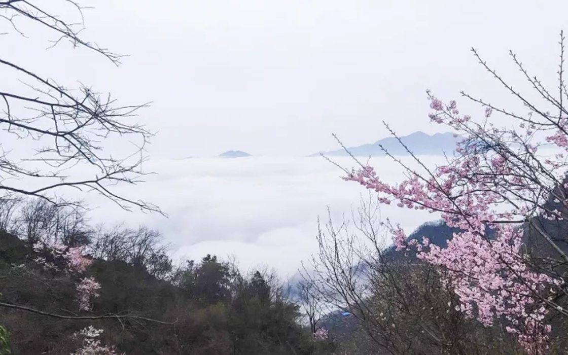 bbin·宝盈游戏(中国集团)官方网站首页