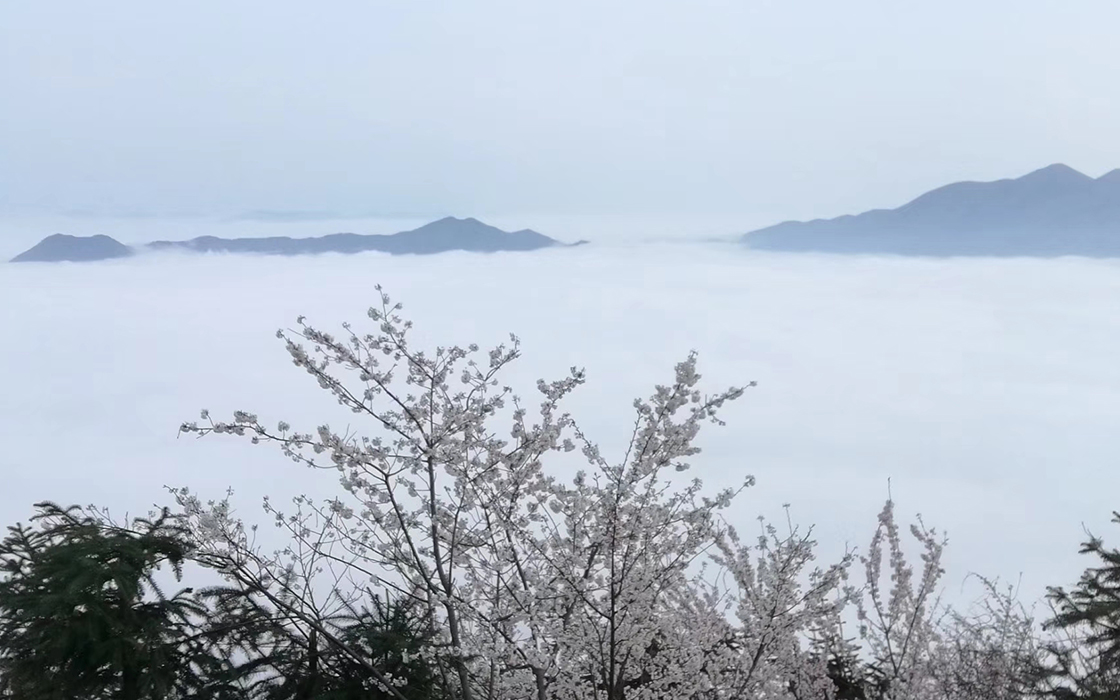 bbin·宝盈游戏(中国集团)官方网站首页