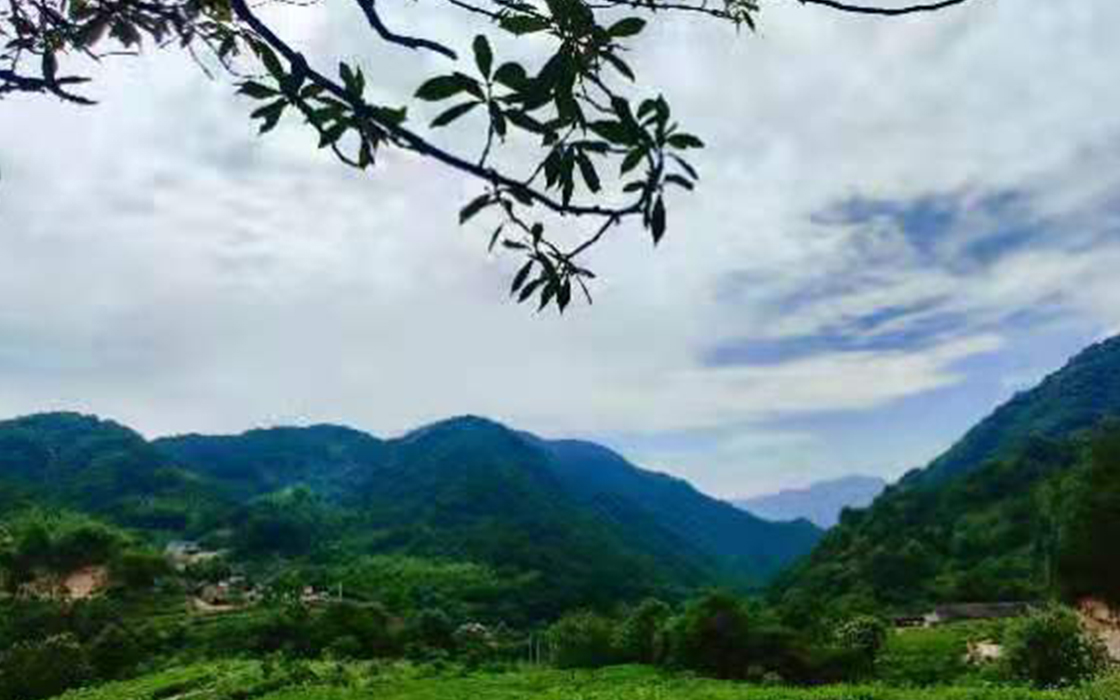 bbin·宝盈游戏(中国集团)官方网站首页