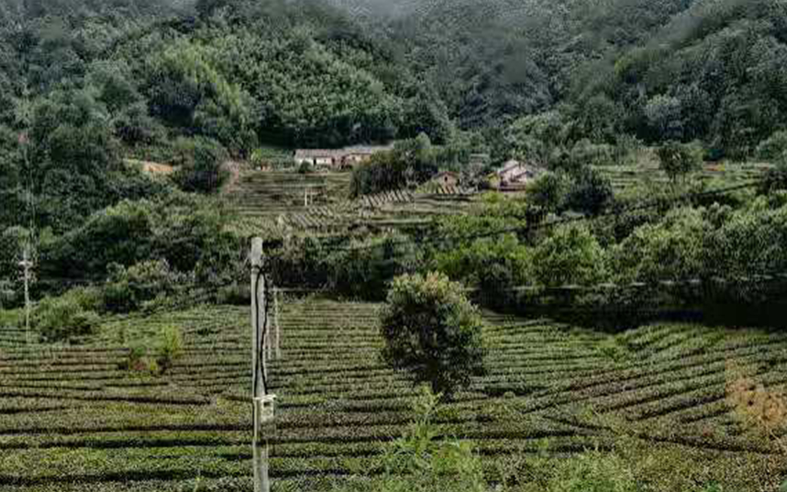 bbin·宝盈游戏(中国集团)官方网站首页